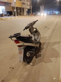 ماكس منغولي • نضيفه • معدل
