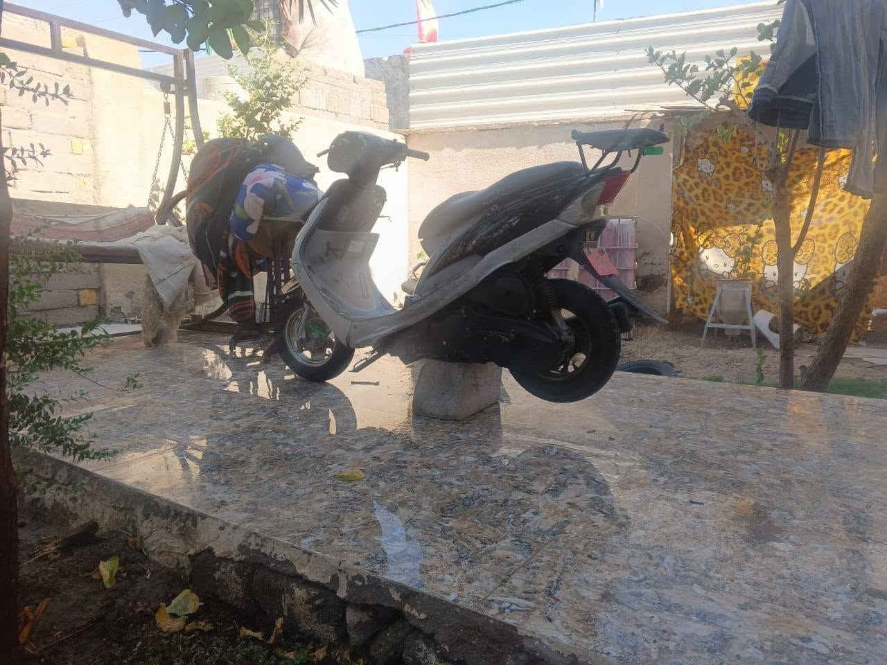 ماكس قجمه للبيع سعر خاص


**إذا كنت صاحب هذا الإعلان وتريد حذفه لأي سبب، رجاءا أرسل رسالة إلى الدعم الفني**