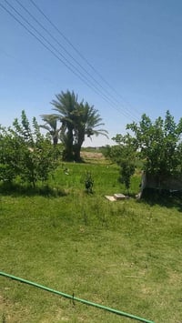 قريه النصار • أرض زراعيه ٥٠٠٠م • مع بيت