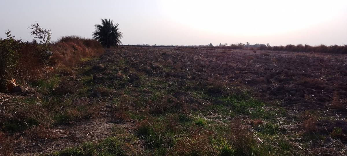 السلام عليكم كاع زراعيه عد ال عواد للبيع مساحة الكاع خمسه دونم رقم للتواصل ***********
