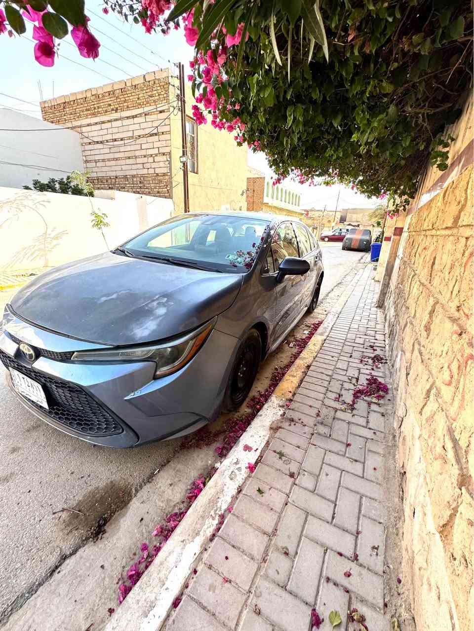 السلام عليكم …
كورلا كندي م21 LE
معوقين ل28 ينفك حجزها
ضرر بسيط بدون داخل ابد شرط الفحص
الباب صبغ ملاون فقط موجود سونار وصور الحادث
ماشية 119 كم
محرك 1800 مكفول من الفتح والبخار
گير مكفول
صدر امامي خلفي مكفول ناعم جدا
تبريد ثلج
مكفوله من الجراد حتى اثر جرد مابيها
نواقص السيارة:-
صبغ بنيد لان جارد وتگعيد الدعامية 
والجامة الامامية مفطورة
باقي السيارة بدون نقص 
تفاصيل السيارة كلها واضحه مع صور الحادث والسونار جديد 
السعر 110 مع مجال بسيط
مكاني الديوانية
للاستفسار *********** ديوانية, القادسية
