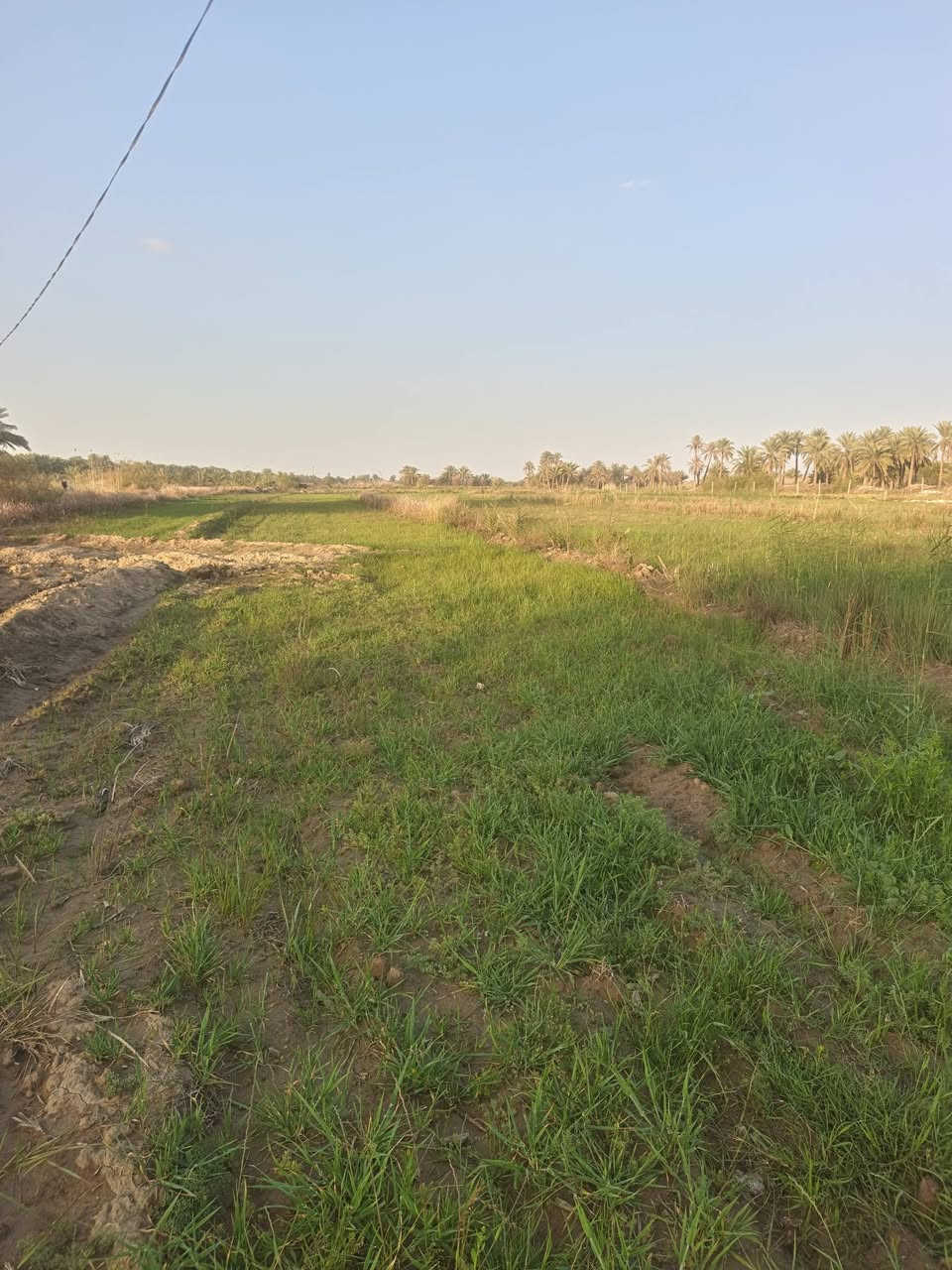 سلام عليكم قطعه أرض طابوا سند ٢٥ تحويل مباشر مساحه دونمين ع التبليط مباشر واجهه ٣٠متر ونزال ١٧٠متر منطقه هادئه ومتوفره فيها كامل الخدمات من شارع تبليط ومولد خط ذهبي وكهرباء ضغط عالي ماء أسأله وماء سقي كما متوفر في الصور و الواقع علما أن الأرض تصلح للمشاريع والسكن والزراعه ..موقع الارض المحاويل مزار العلويه فطوم بنت الإمام الحسن عليهم السلام  وبسعر جدا مناسب 
***********
