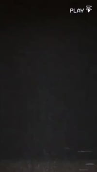 بطة • جاهزة • كابريته جديده