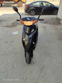 دراجة عصفوري • حلوه جديده • حي القاهره