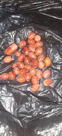 سبحة عقيق • عقيق يماني • سبحة خرساني