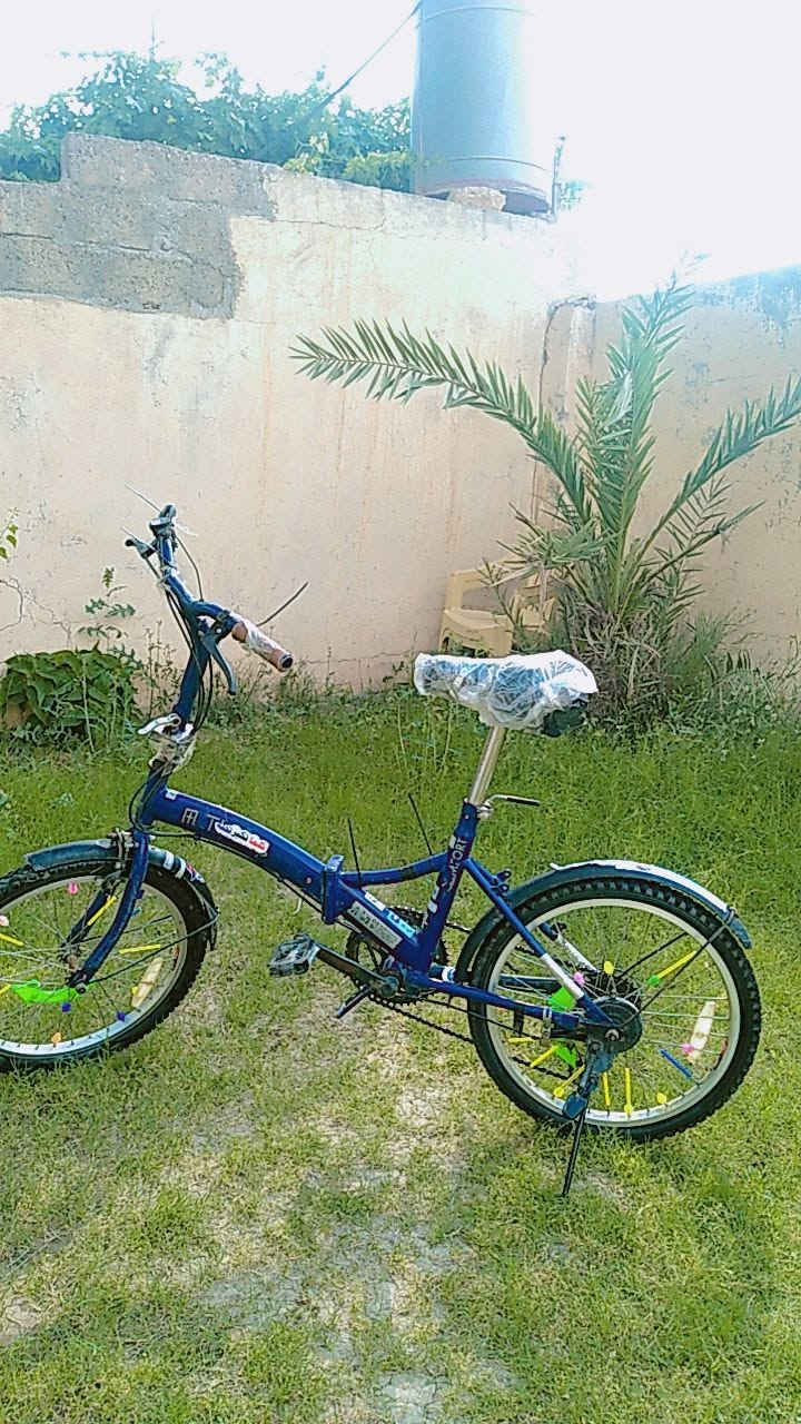 سلام عليكم ورحمة الله وبركاته باسيكل لبيع نضيف السعر 70 وبيه مجال بصيط


**إذا كنت صاحب هذا الإعلان وتريد حذفه لأي سبب، رجاءا أرسل رسالة إلى الدعم الفني**