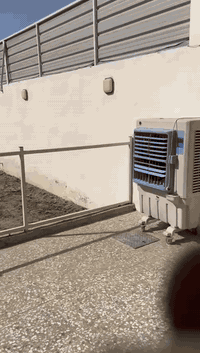 سلام عليكم من رخصت لأدمن  بيت بخضراء لدسيم عله شارع لطاقه مساحه 330وجه 10نزال ٣٣بيت فول متعوب علي داخل كله مرمر شغل درجه ولى منطقه عله وجه مجاري وتبليط بيت خير من الله وبل عافيه عله لي ياخذه بيعه بسبب لضروف ***********
