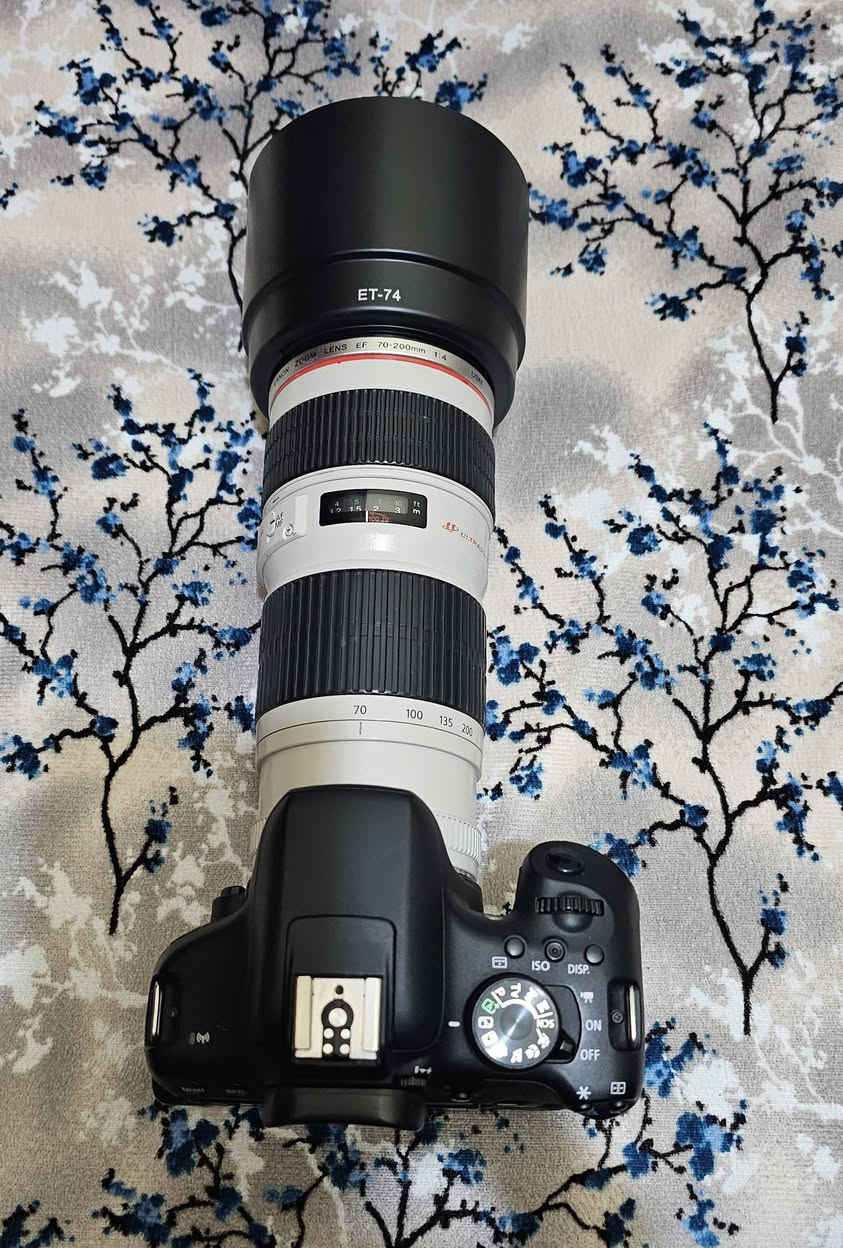 السلام عليكم كامرا كانون 750D مع عدسه 70 200 
كع كامل ملقات فلاتر عدد ٢ مع قيق العدسه مع شاحنه بطاريات عدد٢ والهود اضافه جنطه السعر ٧٥٠ توصيل موجود للاستفسار اتصال او مراسله ***********
