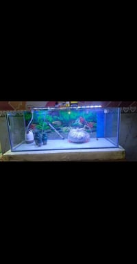 حوض أسماك • ١٢٠×٤٥×٤٥ • مع ملحقات