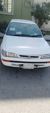 كورلا • جاهزة • النجف