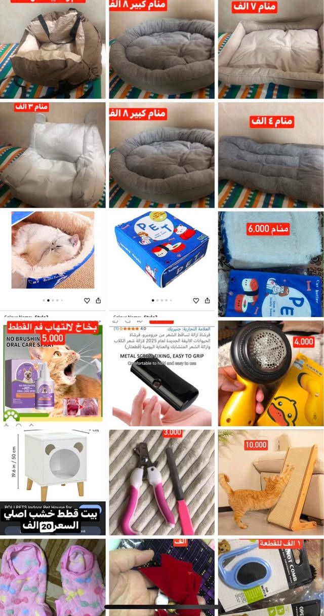 اشياء قطط وكلاب باسعار مناسبة مأكل توماتيكي نافورات منامات حقائب ملابس امشاط بخارية بيوت خداشات  اذا تريد ارسل رسالة على المسنجر المكان اربيل ويوجد توصيل أربيل, العراق


**إذا كنت صاحب هذا الإعلان وتريد حذفه لأي سبب، رجاءا أرسل رسالة إلى الدعم الفني**