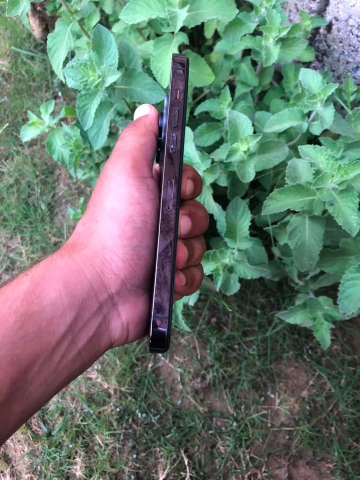 سلام عليكم
ايفون 14 برو ماكس 

جهاز نضافه فول 

مستبدل شاشه
  
وبطاريه🔋 

وبي رساله مال كامرات 
كمراته طبع وشغاله 

الجهاز كله شغال 

ذاكره 256 

دبل سيم 

جهاز يخبل

رقمي للنتصال *********** سعر 550 بي مجال والي يجي ويكسر بل جهاز يسمع كلام مو حلو
