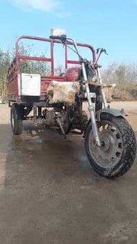 ستوته • ناحية السلام • شاصي ما يتحول