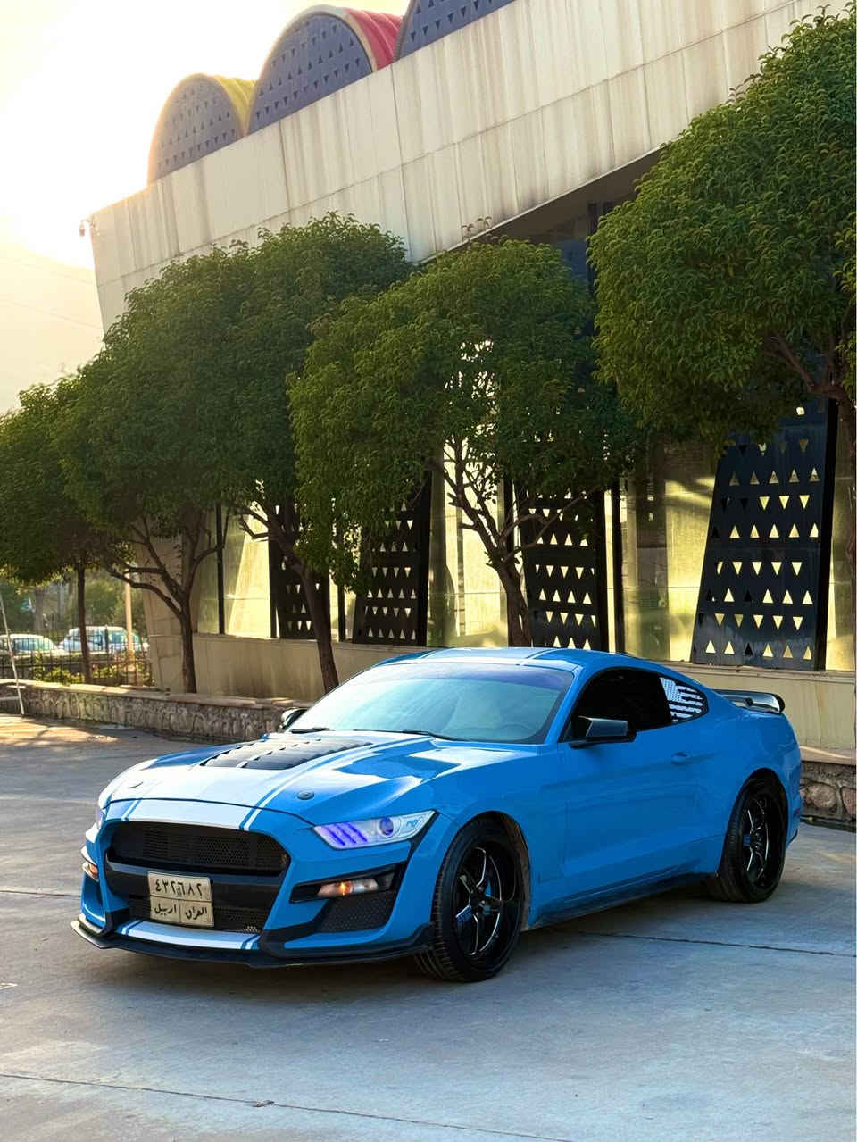 Musting 2017 V6
گير محرك اكسل مكفولات
سياره ماشيه 80 ميل
صبغ فقط بونيد دعاميه صبغ مكفولاه من صبغ و بيها بارد 
ايرباك فقط تكمه طاك 
هلال خلفي صغير بدون شواصي شرط
صدر امامي خلفي جديد مبدلات
كهربائيات شرط
الاظافات✌🏻
مراوح جيتي ٣ بانكات
سياره برمجه مراوح و فطلات كزوز
بونيد shelby
دعاميه شيلبي
سكوبات جانبيه
سكوب باتمان
جنح جيتي 
دفيوزر هسني اصلي
وياله weld racing20 تو سايز
كيج بريميوم ٧ الاوان
شاشه تيسلا و بلادي هم وياه
كوشنات جلد ازرق و ابيض
ادامه كامله دهن محرك جديد
بلاكات racing
فيتبمب racing
ماكو لا كلوب على دشبول
رقم سنويه منتهيه 2023
وكاله بسمي تحويل ثاني يوم
مكان سياره دهوك
سعر 163 بيها مجال قليل مراوسه فقط مع ارقام شماليه 
Watsapp *********** دهوك, العراق
