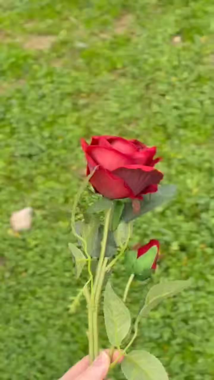 إهديها لمن تحب
متوفرة للبيع 😍 
شغلي ..ممكن تنفيذ اي لون وقياس واي نوع ورد


**إذا كنت صاحب هذا الإعلان وتريد حذفه لأي سبب، رجاءا أرسل رسالة إلى الدعم الفني**