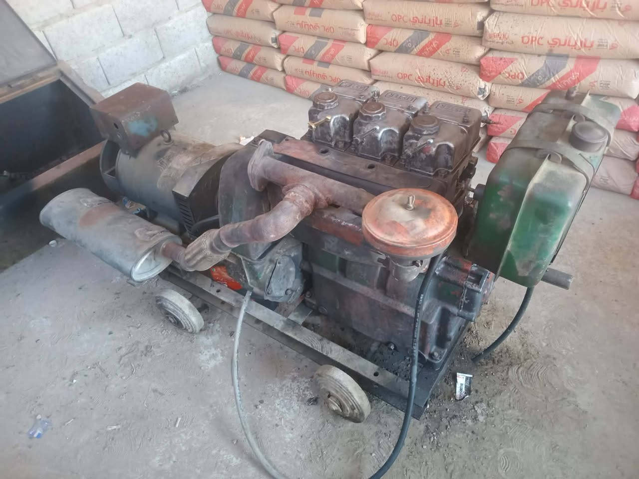 موالد للبيع الستر3بستم مكان ديالى قرية الحديد إستفسار عل رقم ***********
