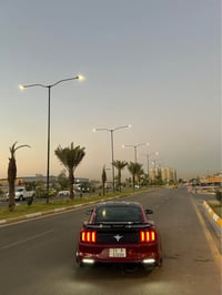جوه سوك 107 قفل 🔒 بيع سريع سلام عليكم موستنك ٦ ٢٠١٥  داخله كلين حزام ص...