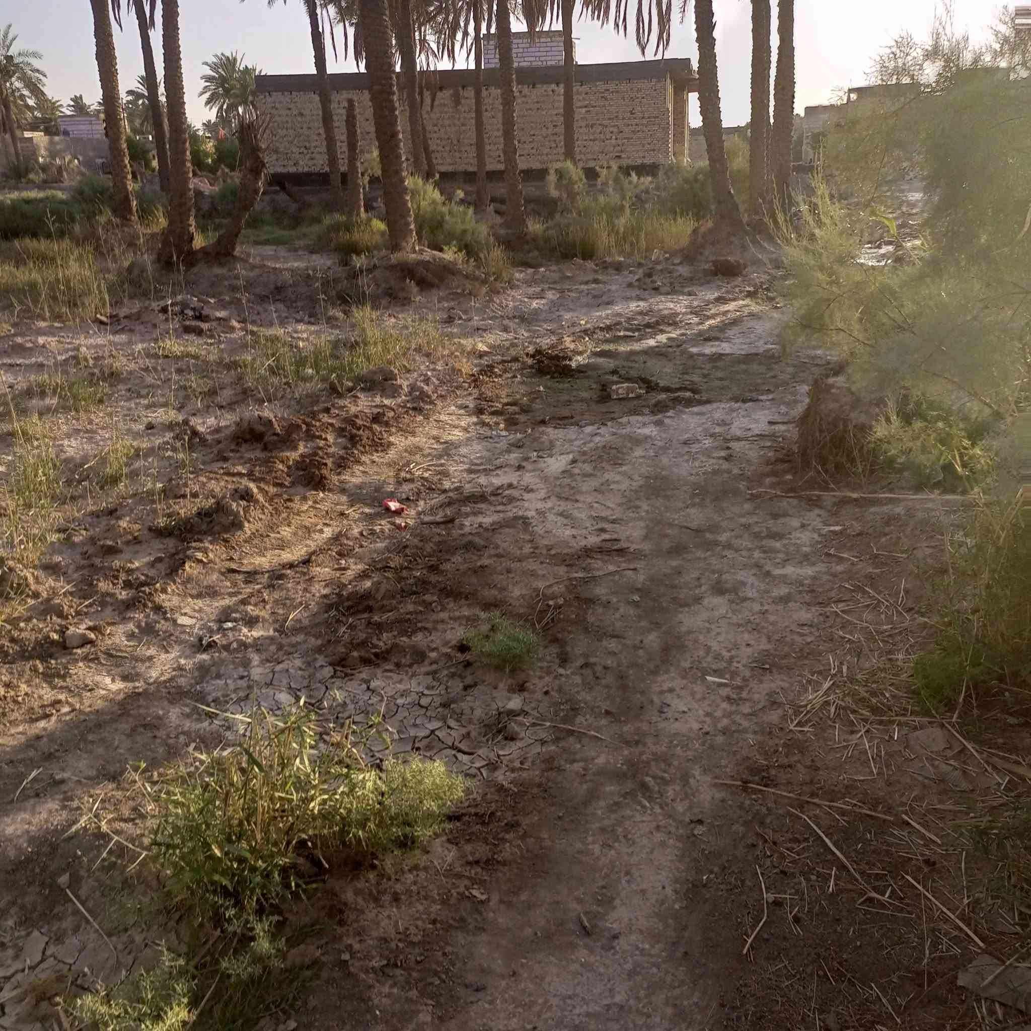 عرصات عدد2 مساحة الواحدة 230m في منطقة الثمن خلف حسينية الثمن السعر واتساب ***********
