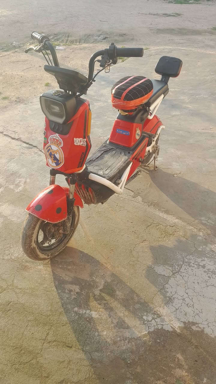 سلام عليكم دراجه شحن حجم ١٤ جديده ومابيه اي نقص مكانه البصره زبير رقم هاتف *********** سعر مناسب جدن مستعجل على بيعه ١٣٥
