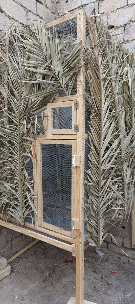 السلام عليكم 
متاح محمية بلابل ابيض الخدين مجهزه من العشوش فقط جيب بلابل   او شمرهن او المحميه جديده ما مخلي بلابل بيه 
الارتفاع 2 متر 
والعرض 1متر او 20
والنزال 1 متر او 20
تحتوي على مجر 
او الي يريد محميه اي قياس اجهز 
الموقع في قضاء الشامية


**إذا كنت صاحب هذا الإعلان وتريد حذفه لأي سبب، رجاءا أرسل رسالة إلى الدعم الفني**