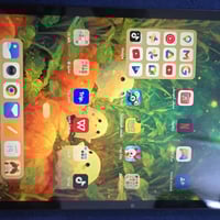 ايباد هونر • نضيف • استخدام قليل