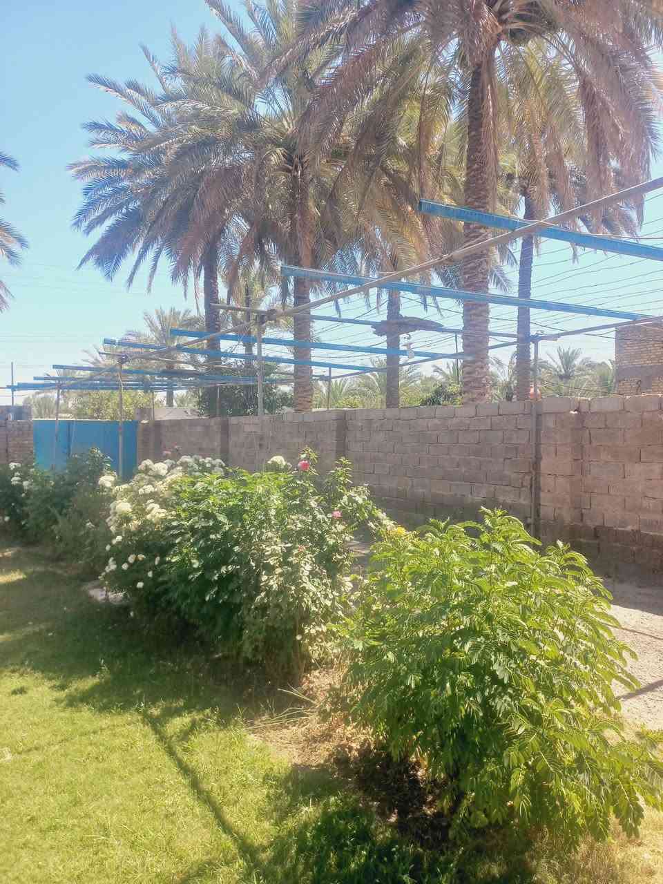 سلام عليكم من رخصة الادمن المحترم يوجد قمرية بواري حديد ياباني طول القمرية ٣٠ متر السعر ٢٥٠ الف رقم الهاتف *********** منطقة شيخ حمد

