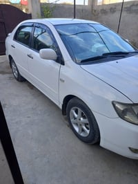 للبيع                                                             كورل...