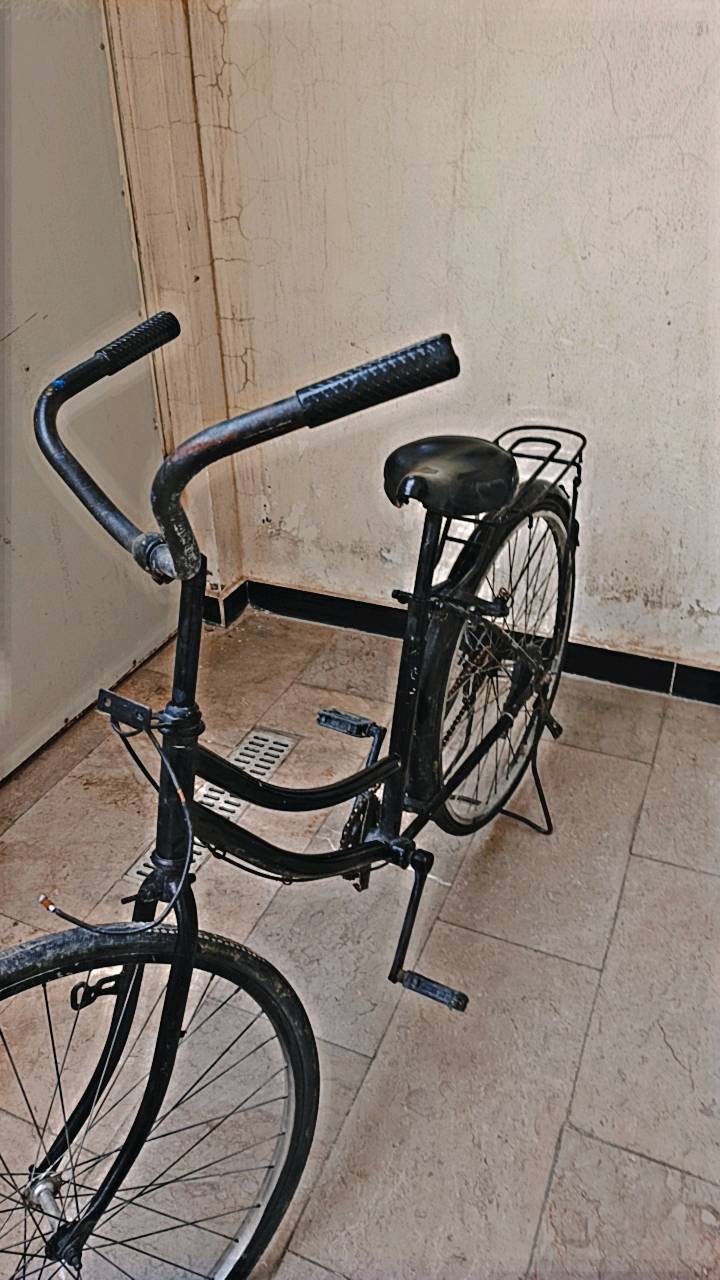 السلام عليكم 
بايسك بناتي للبيع 
مصبوغ لون اسود 
نقص بنجر خلفي وبريكات فقط
قفل التاير الخلفي شغال
العنوان:بغداد حي تونس
رقم الهاتف:***********