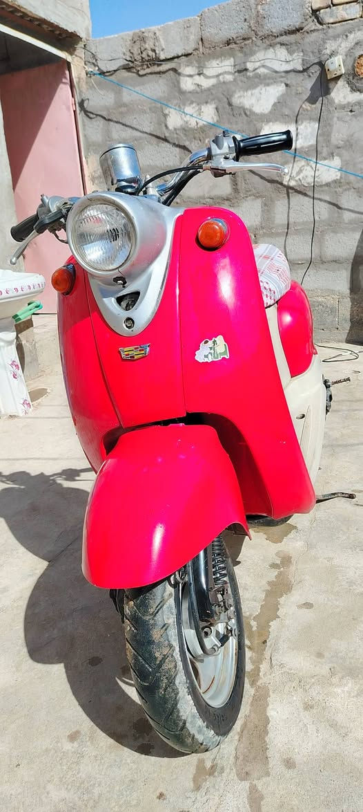 عبد الحليم للبيع كلش نضيفه سلف كهربائيات شغاله سعر ٣٥٠ كربلاء


**إذا كنت صاحب هذا الإعلان وتريد حذفه لأي سبب، رجاءا أرسل رسالة إلى الدعم الفني**