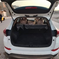 توسان فول • افيو ٢٠١١ • السماوه فضاء الخضر