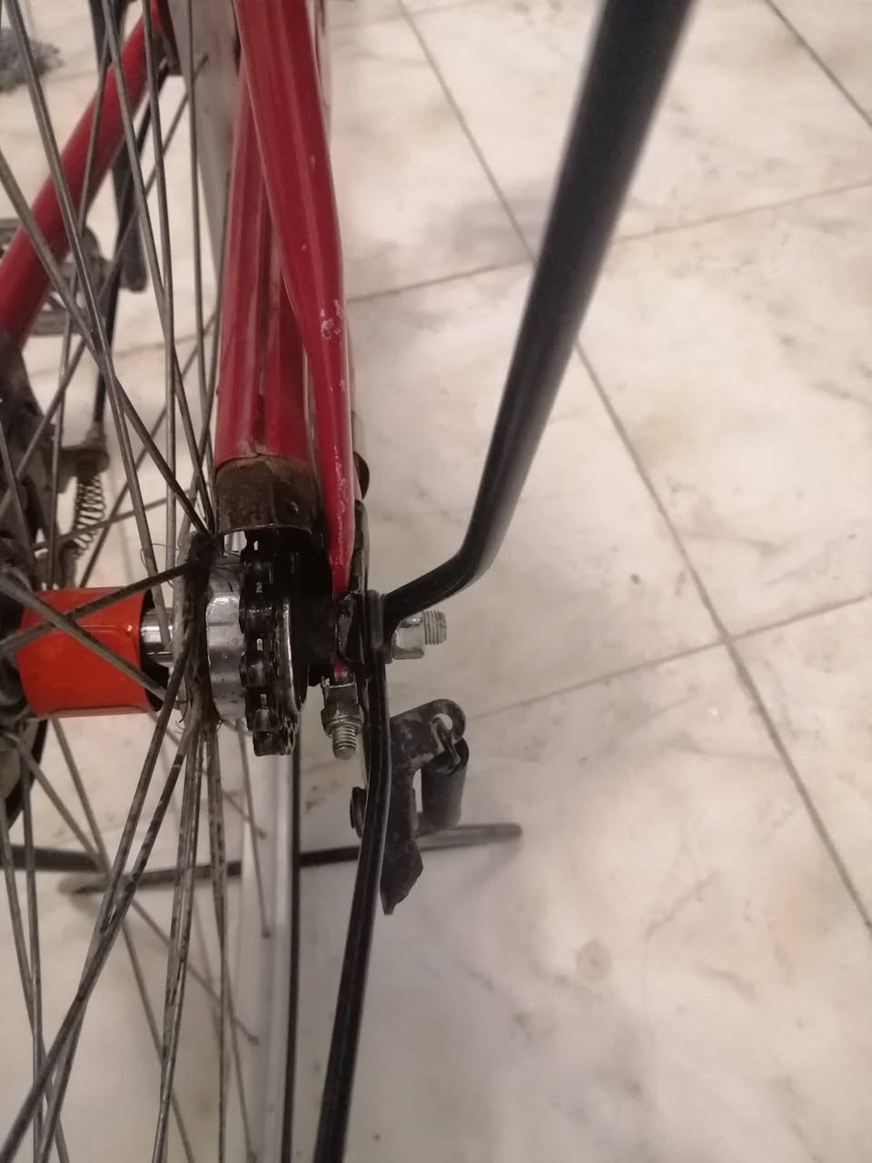 سلام عليكم باسكل للبيع ياباني باله  حجم 27 جديد كلش ممستخدم بس سبوع مستعجل ع البيعه خاص مفتوم السعر 115 و بي مجال ويدلل الطيب موقع ام الخيل 2 (ديوانيه)


**إذا كنت صاحب هذا الإعلان وتريد حذفه لأي سبب، رجاءا أرسل رسالة إلى الدعم الفني**