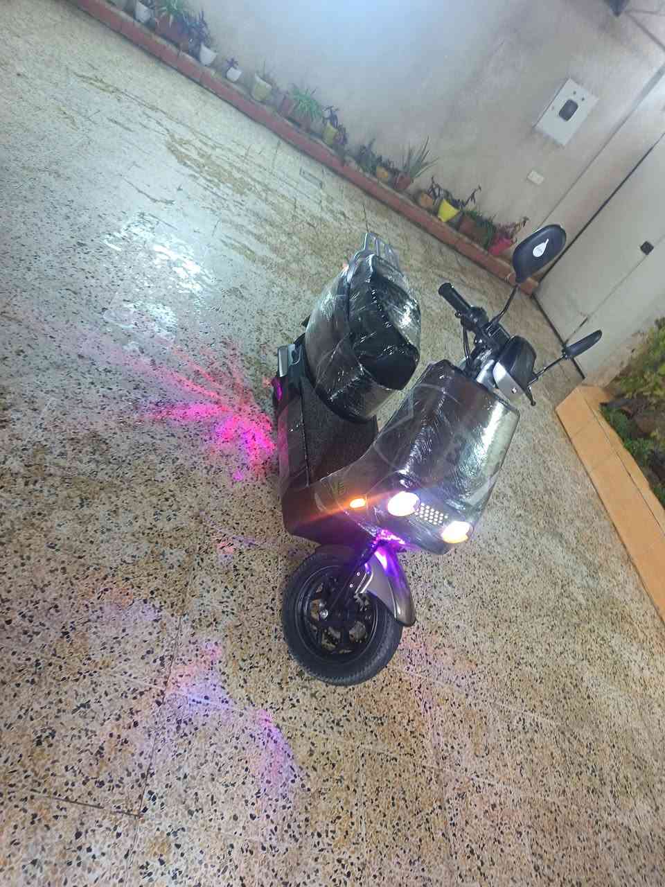 600


**إذا كنت صاحب هذا الإعلان وتريد حذفه لأي سبب، رجاءا أرسل رسالة إلى الدعم الفني**