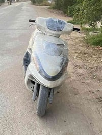 دراجة دولفين • بابل • بحاجة تطييب