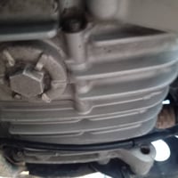 بلادي • بوليسي • مامفتوحه