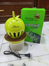 قانصه حشرات • بدون صوت • بدون رائحة