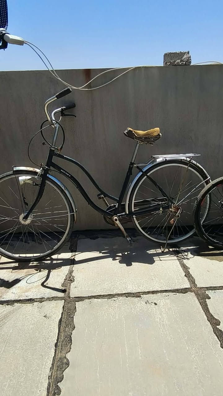 سلام عليكم بايسكلاات لل بيع


**إذا كنت صاحب هذا الإعلان وتريد حذفه لأي سبب، رجاءا أرسل رسالة إلى الدعم الفني**