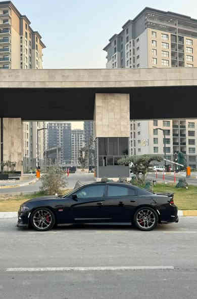 سلام عليكم 
جارجر ( سكات SRT ) 6400 🐝
الموديل : 2020  اصل 
رقم : بغداد مميز بسمي 
حادث : بنيد وجاملغ ايمن تبديل + صبغ
سحب بسيط براس الشاصي 
مواصفات السيارة 
فجوج برمبو 
سلايد روف 
شاشه كبيرة 
غرفه مختمه سكات 
خزن ميموري + كشنات تدفئه تبريد امامي
كشنات خلفي تدفئه
دركه كهرباء + هيتر 
الاظافات : 
تفريغ + برمجه فول سيفتي 
بلكات ريسنك جديدة 
فيت بم ريسنك
مازدات اوركل متغير + عدسه لون 
اويل كاج كان
شوته مفتوحه 
تايرات خلفيه 315 جدد
امامي 275 جدد
…
ماشيه 57
مكينه كير حدادية اكسل بحالة ممتازه 100‎%‎
المكينه بيها صفحه مفتوحه فقط بطل 
على ايدي تصوير موجود 
مكان السيارة بغداد - الكرخ 
السعر : 225  مجال بسيط 
اي استفسار
 واتساب ***********
0787 781 5125
