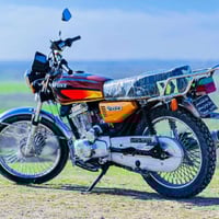 سيفان • ٢٠٢٠ • نشاط فول