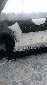 تخامة • أخضر • سوق الشيوخ