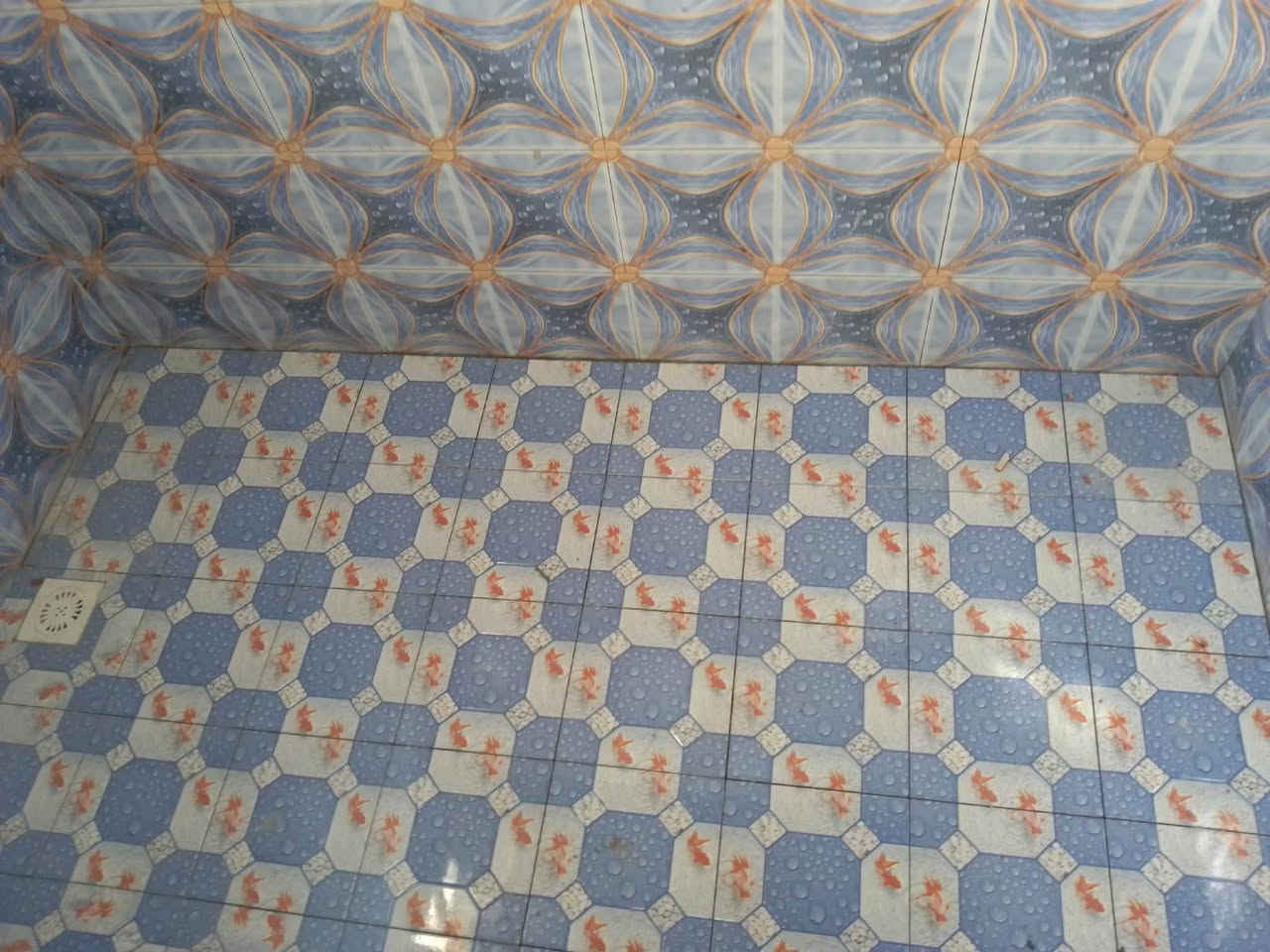 السلام عليكم.
يوجد كادر سيراميك متفرغ حاليآ للعمل وفق المواصفات الفنية والجودة الهندسية
بإشراف هندسي للأستفسار  اتصل على الارقام التاليه
***********
***********
