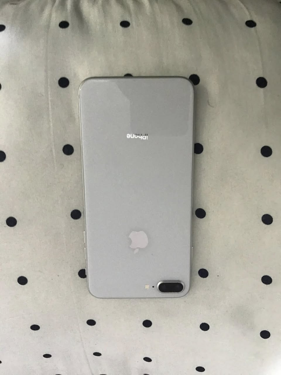 ايفون 8بلس مستعمل نضيف مداخل صيانه ولا مفتوح سعره 160الف


**إذا كنت صاحب هذا الإعلان وتريد حذفه لأي سبب، رجاءا أرسل رسالة إلى الدعم الفني**