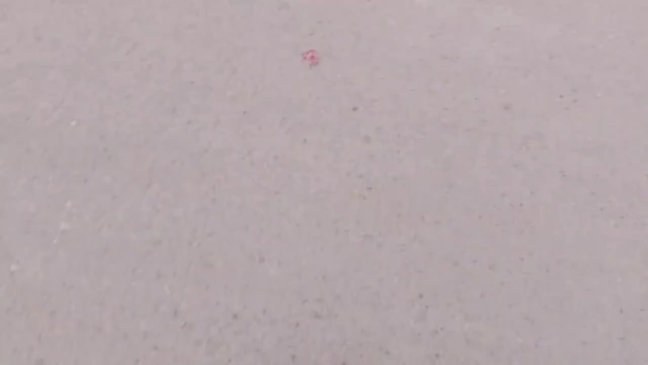 السلام عليكم ورحمه الله وبركاته
بيت للبيع بل حصوه نصر والسلام علا شارعين تجاري عل سايدين سبعه ثمانيه ستفسار ***********

رقم الكروك بي وتساب ***********
