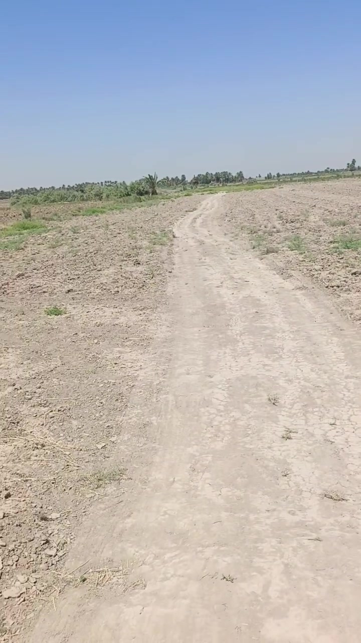 ✅للبيع ارض زراعية سند 25
✅المساحة7 دونمات 
✅واجهه 100 متر
✅ مداور بسم المشتري مباشر 
✅وتتوفر أيضا حصه ماء سقي من جهتين 
📍منطقة البونايل الخميسيه 
✅ تبعد عن شارع التبليط 100 متر
✅ الاتصال على الارقام 
☎️ ***********  
☎️***********
♦️أبو سجاد للعقار 
 ✅للاستفسار اكثر مراجعة مكتب الساقي للعقار 📍الإسكان شارع مستشفى الحسين قرب جامع ✅طالب شيال 📍
