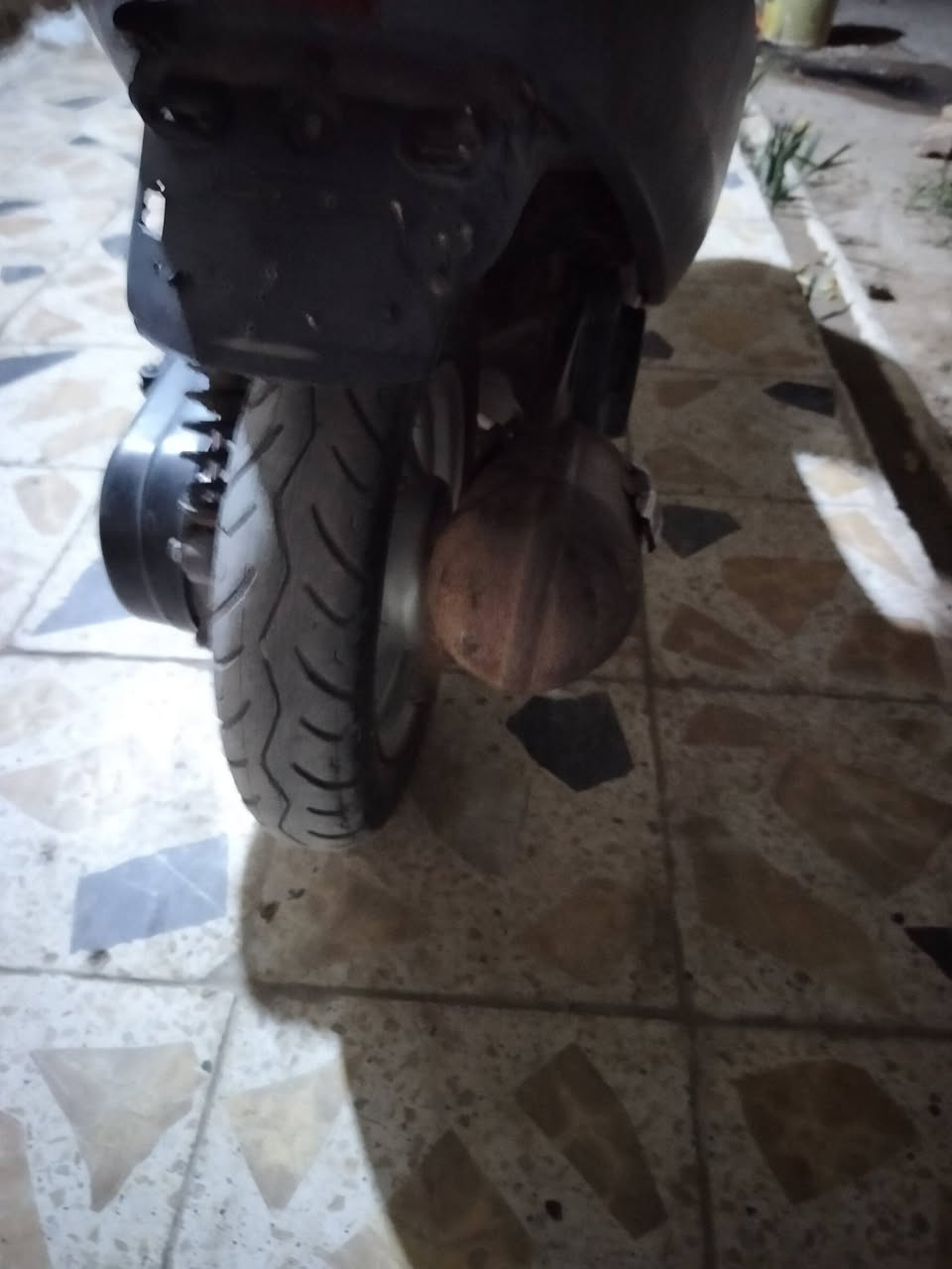 السلام عليكم بتره فحل خطين شغاله نكره سلف وهندر اشاير لايت بك لايت هورن الدراجه مفتوحه كله جديد كرنك وبوش وبستم وجبن وبوربرنات ماتحك راسك من المكينه جنه جديده مال جناي سعره 300وبيه مجال للشراي مكاني ناصريه مركز


**إذا كنت صاحب هذا الإعلان وتريد حذفه لأي سبب، رجاءا أرسل رسالة إلى الدعم الفني**