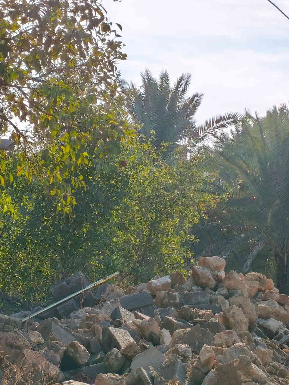 السلام عليكم
بيت معروض للبيع مع المشتمل قرب مستشفى راوه العام

مساحته تبلغ 400 مترطابو صرف
 مع الحديقه الخلفيه وأماميه  يتكون من غرفه استقبال مع غرفتين نوم مع مطبخ مع صحيات والمشتمل  يتكون من غرفتين ومطبخ وصحيات
سعر 40مليون بي مجال 

الأستفسار على الرقم ***********
