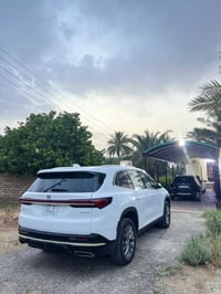 الانكليف • ٢٠٢٥ • البيوك العراقي