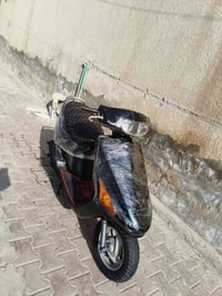 دراجة فراشة • نثية • ميسان المجر الكبير