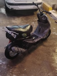 ماكس منغولي • ٥٥شلعة • معدل مكاني