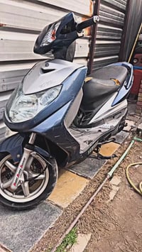 سكنس فحل نوزل كفاله عامه بيهة تزويد بيهة قباقه مال كور بيهة براغي  وصا...