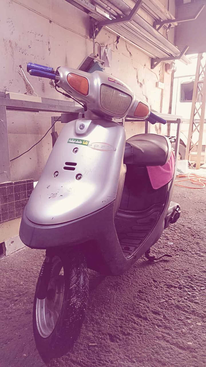دراجه بوتين شرط مامفتوحه صوت ناعم Singapore


**إذا كنت صاحب هذا الإعلان وتريد حذفه لأي سبب، رجاءا أرسل رسالة إلى الدعم الفني**